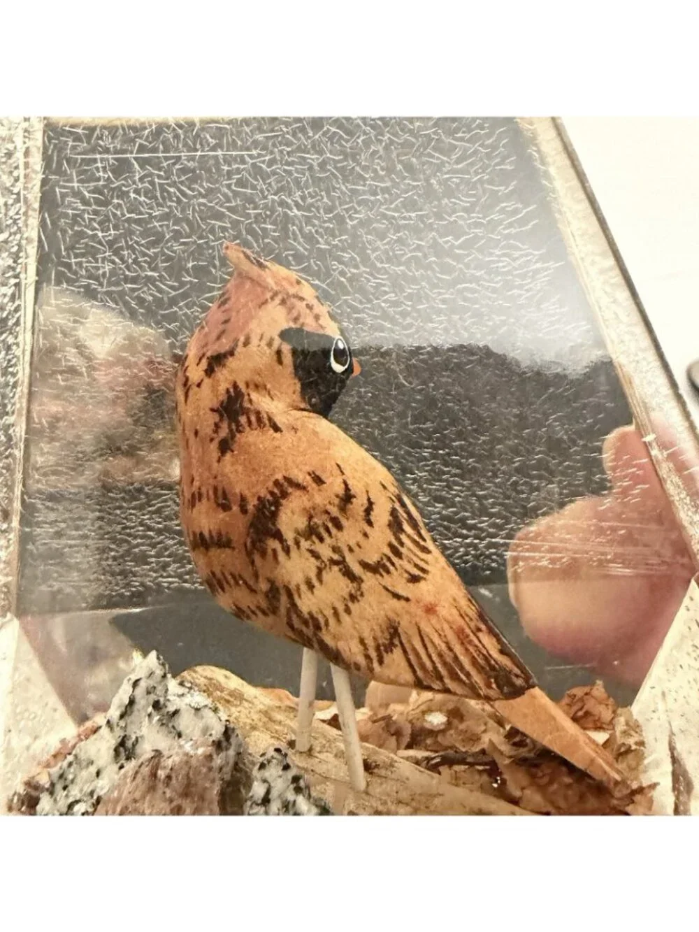 Vintage Lucite Cardinal Bird Paperweights Hand Carved Wood Canada Pair 5”